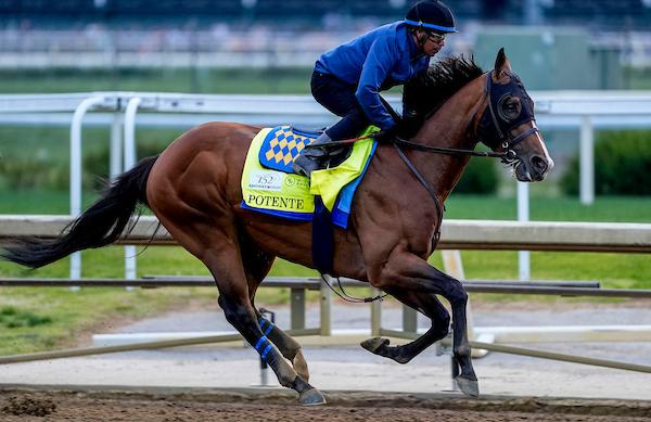 Potente, Triple Crown, Kentucky Derby, Churchill Downs, horse racing, America's Best Racing, ABR